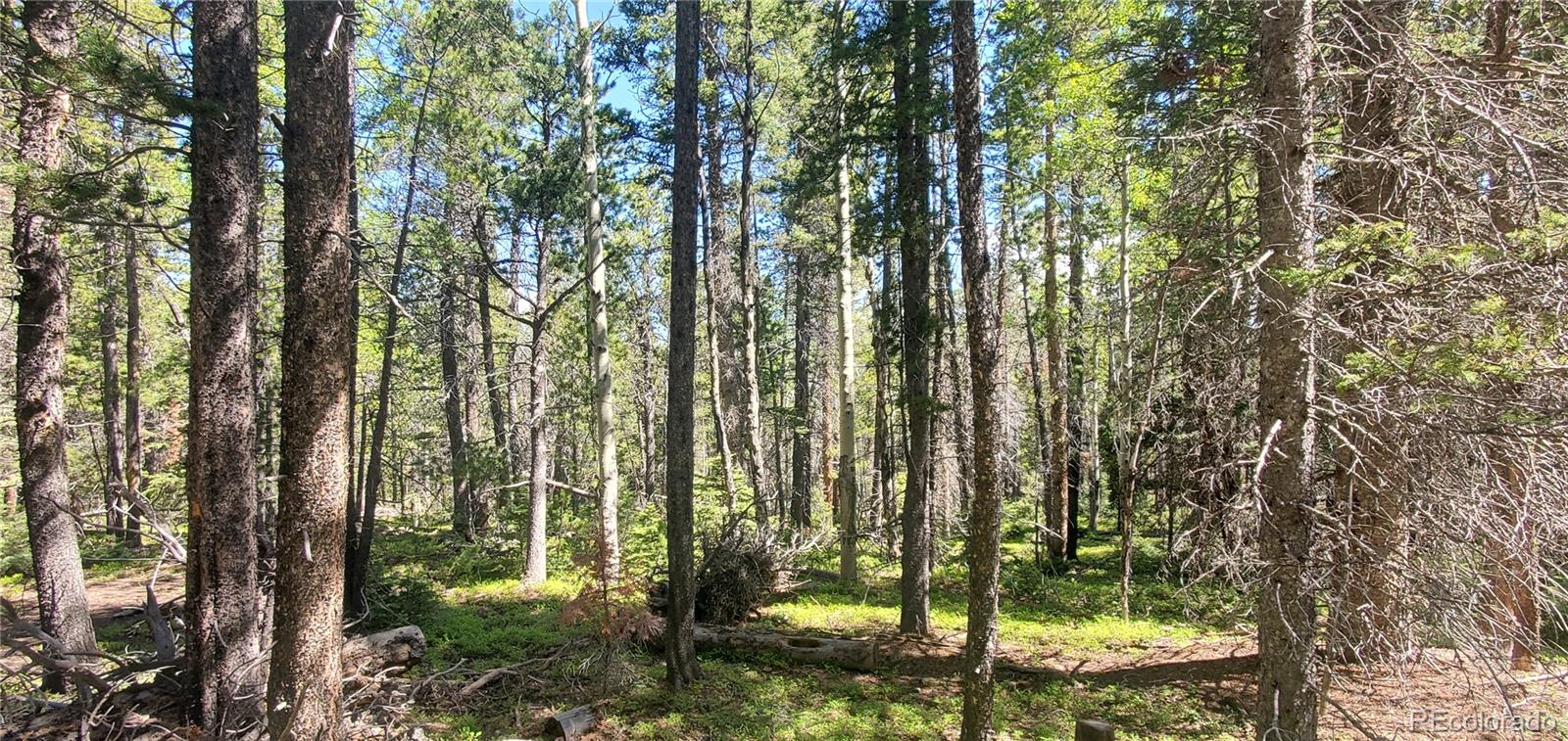 Lot 2914 Forbes Loop Fort Garland CO 81133
