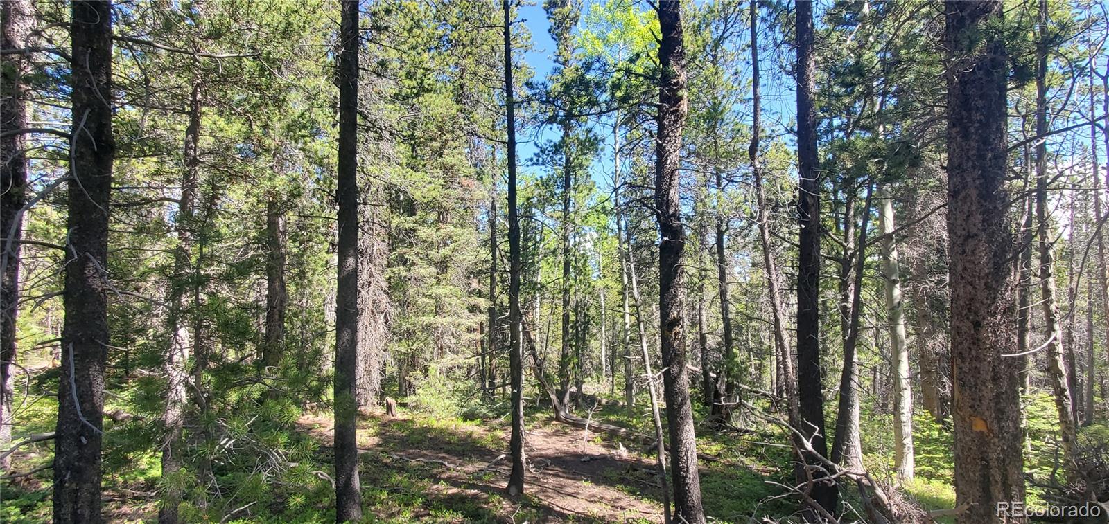 Lot 2914 Forbes Loop Fort Garland CO 81133