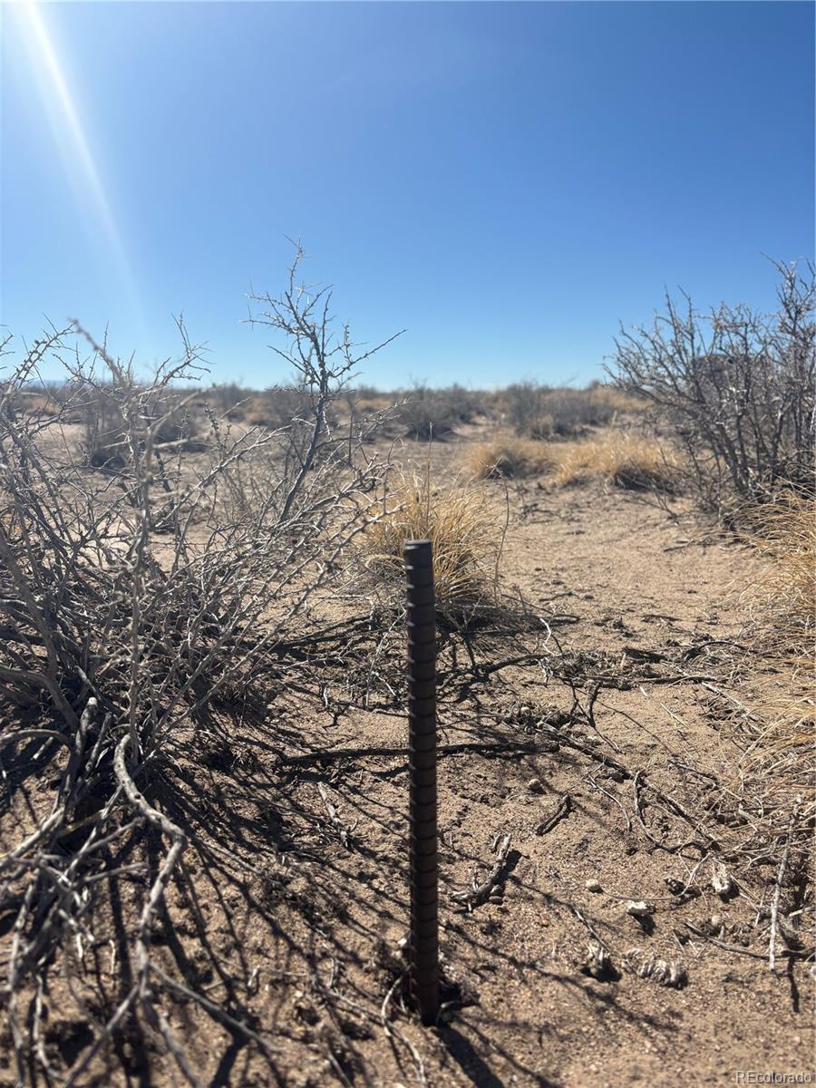 21767 Star Sapphire Avenue Alamosa CO 81101