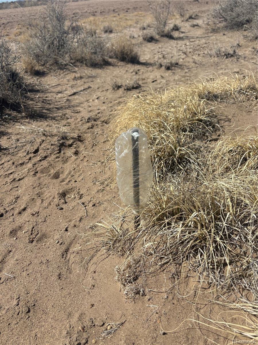 21767 Star Sapphire Avenue Alamosa CO 81101