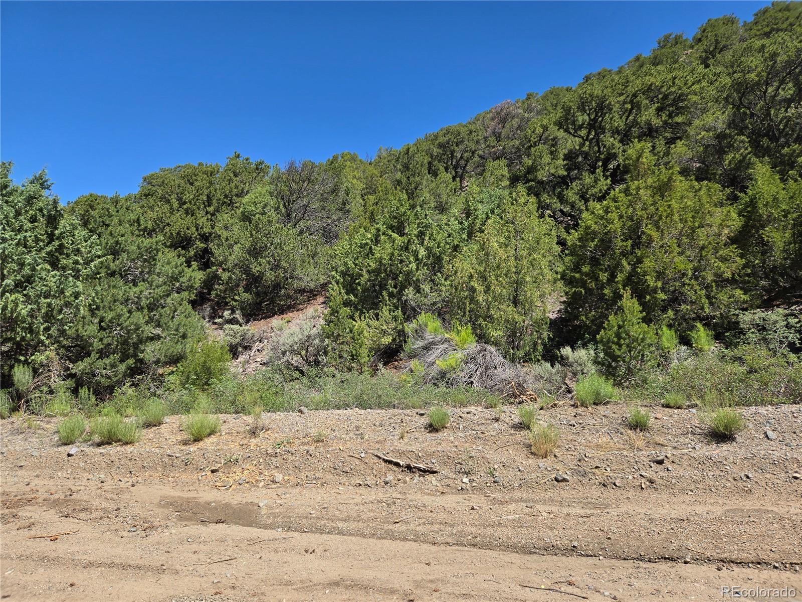 Lot 5046 Joy Road Fort Garland CO 81133