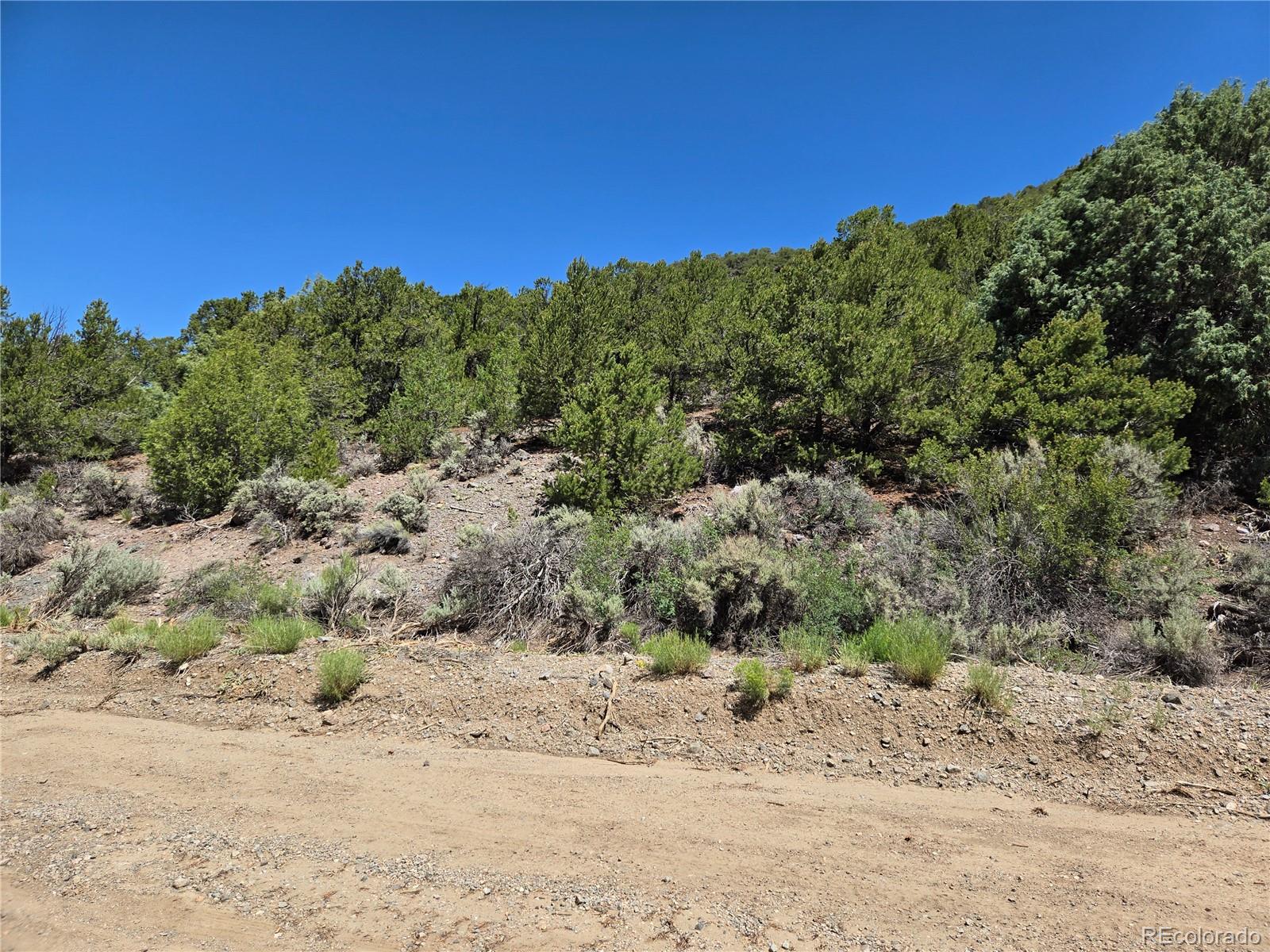 Lot 5046 Joy Road Fort Garland CO 81133