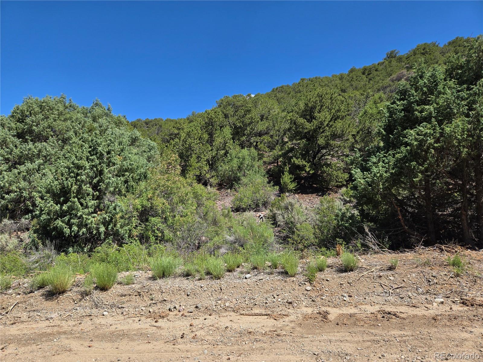 Lot 5046 Joy Road Fort Garland CO 81133