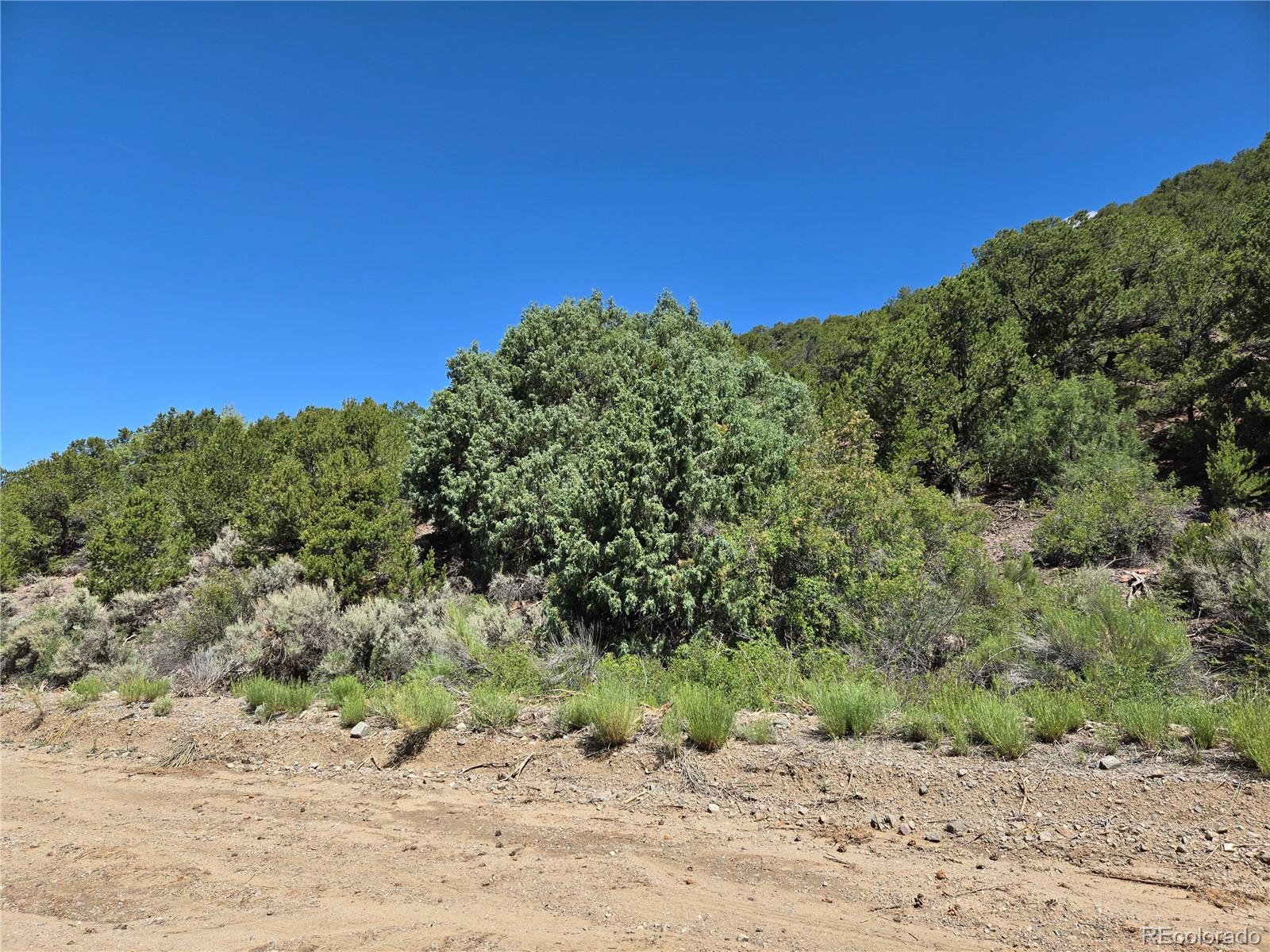 Lot 5046 Joy Road Fort Garland CO 81133