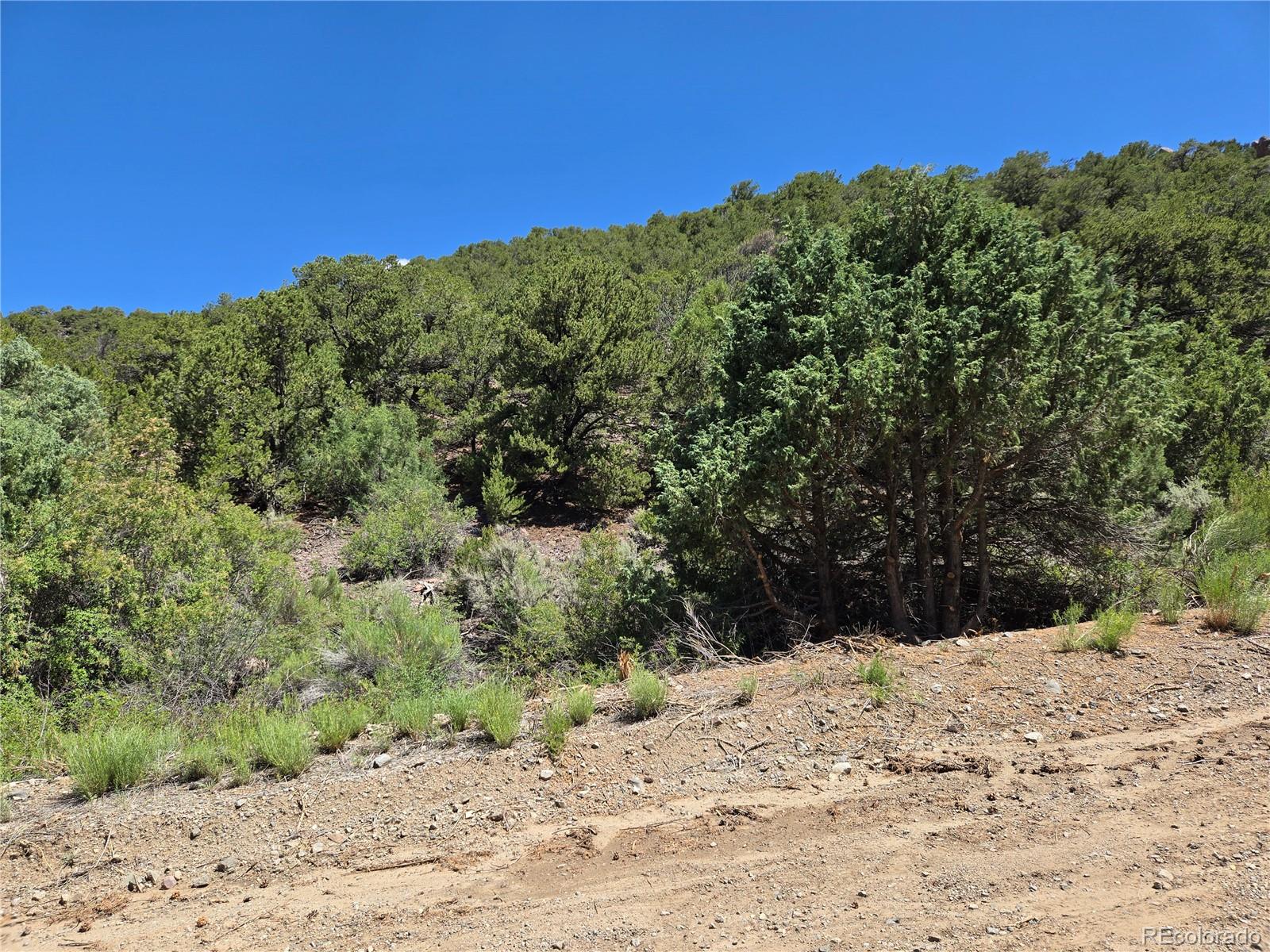 Lot 5046 Joy Road Fort Garland CO 81133