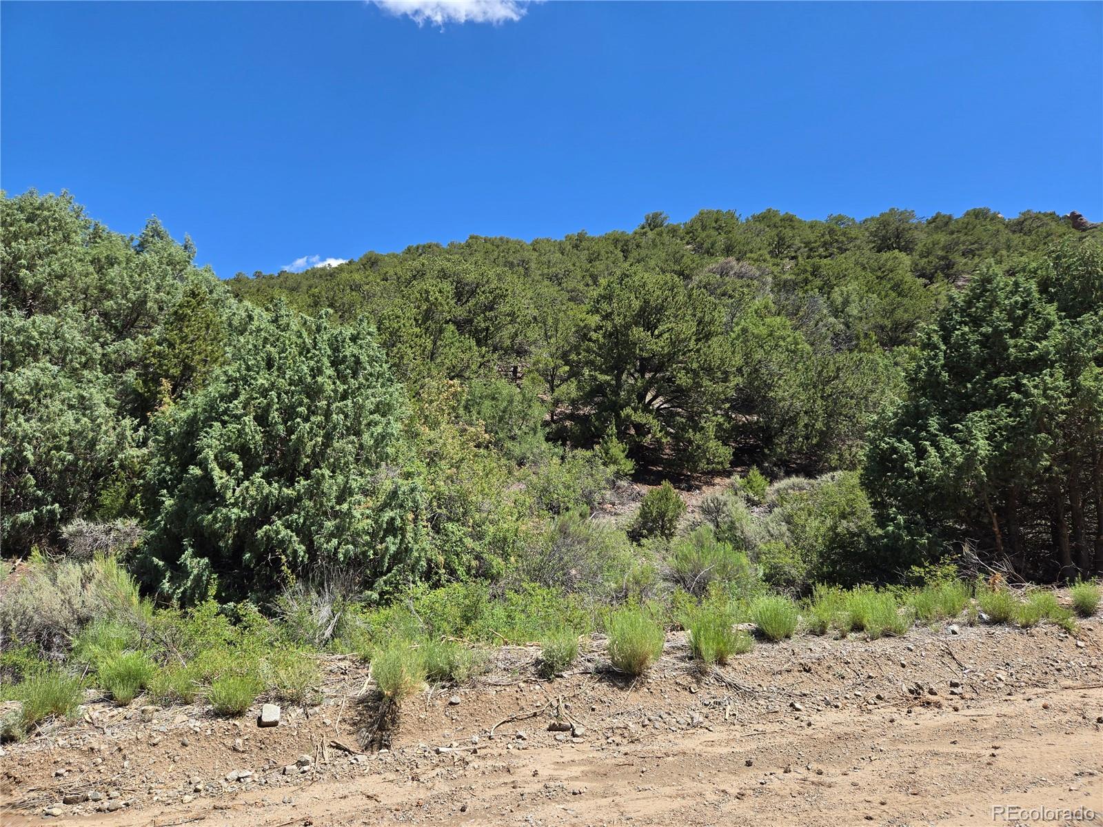 Lot 5046 Joy Road Fort Garland CO 81133
