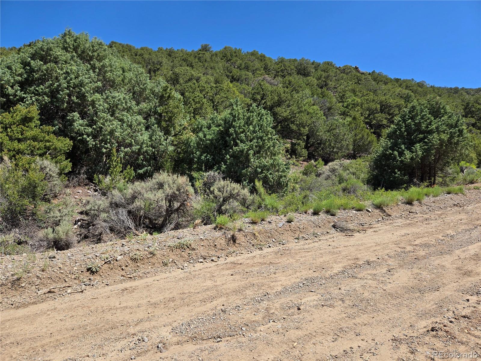Lot 5046 Joy Road Fort Garland CO 81133