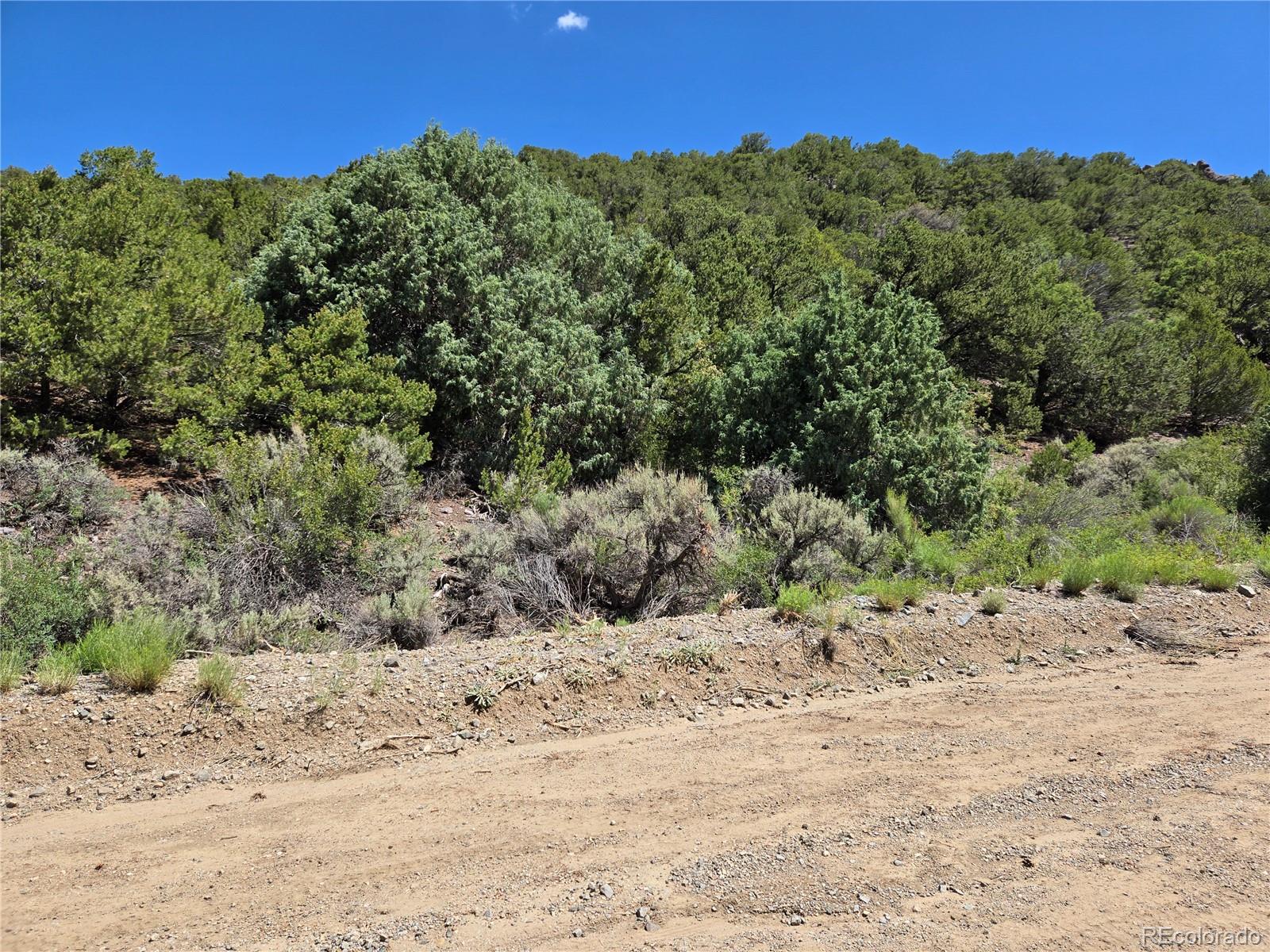 Lot 5046 Joy Road Fort Garland CO 81133