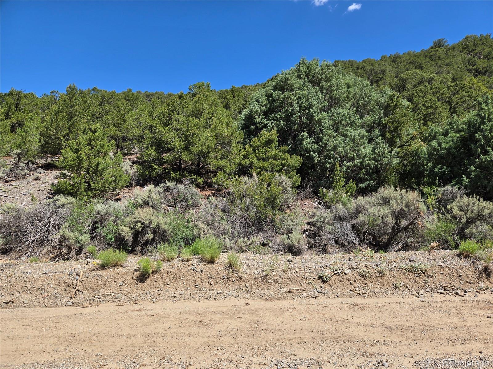 Lot 5046 Joy Road Fort Garland CO 81133