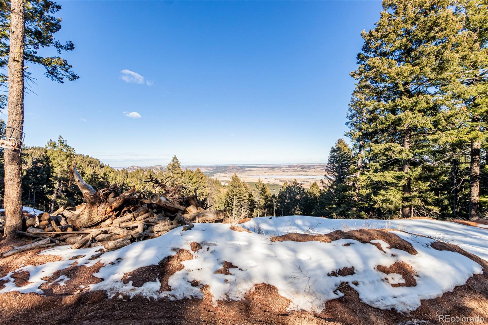 2199 Badger Drive Larkspur CO 80118