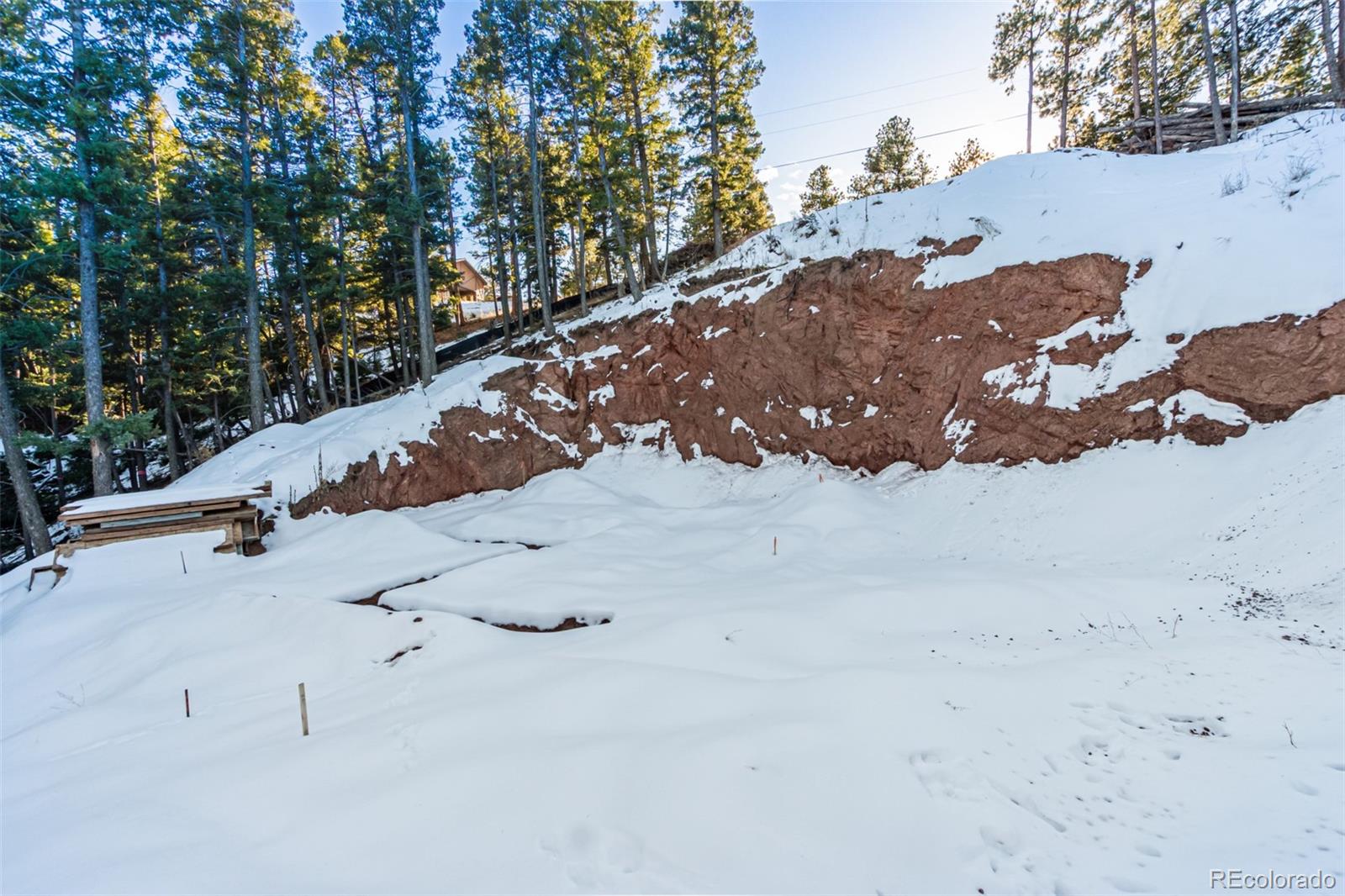 2199 Badger Drive Larkspur CO 80118