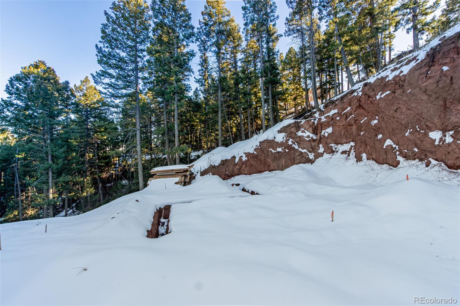 2199 Badger Drive Larkspur CO 80118