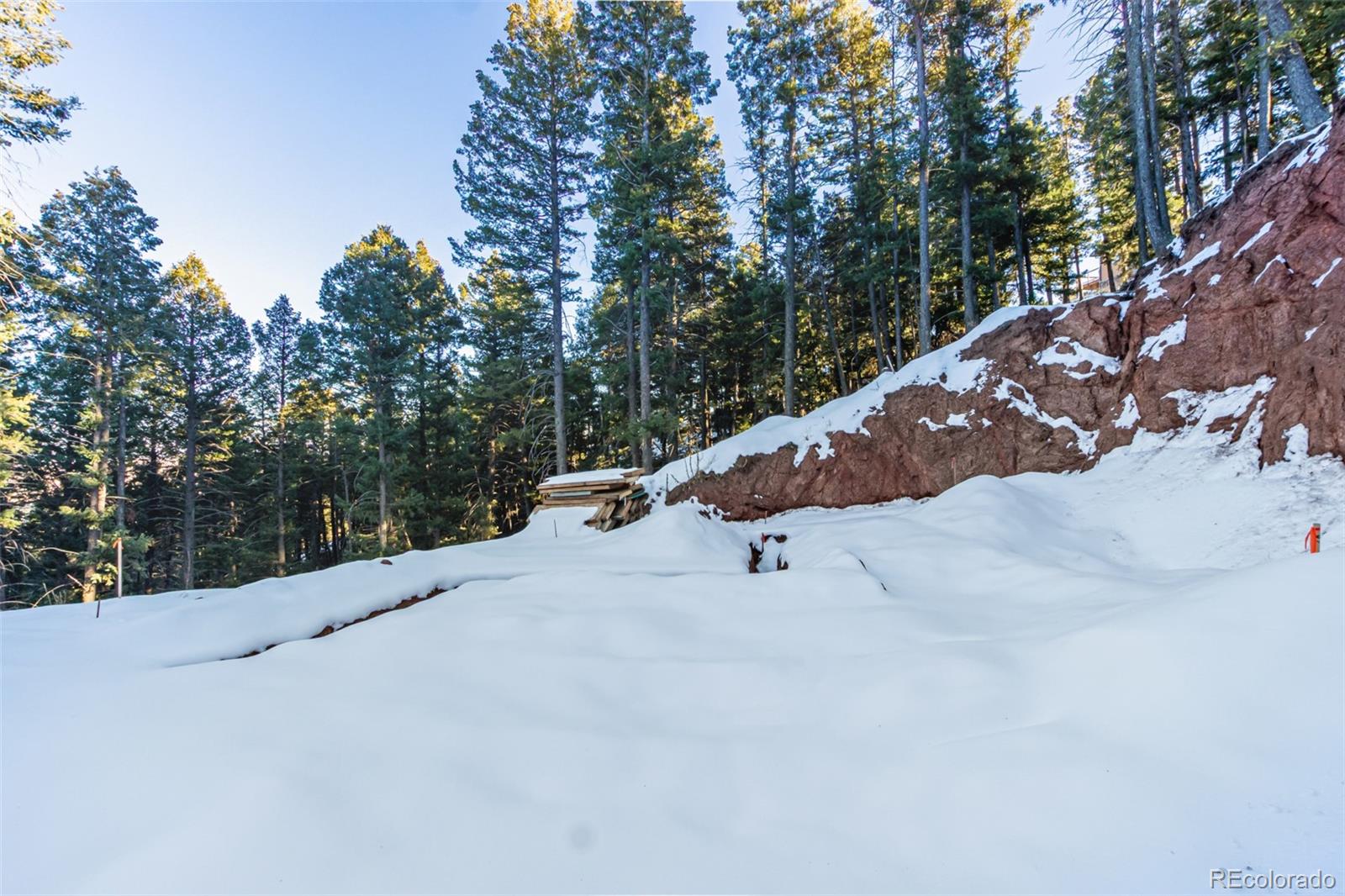 2199 Badger Drive Larkspur CO 80118