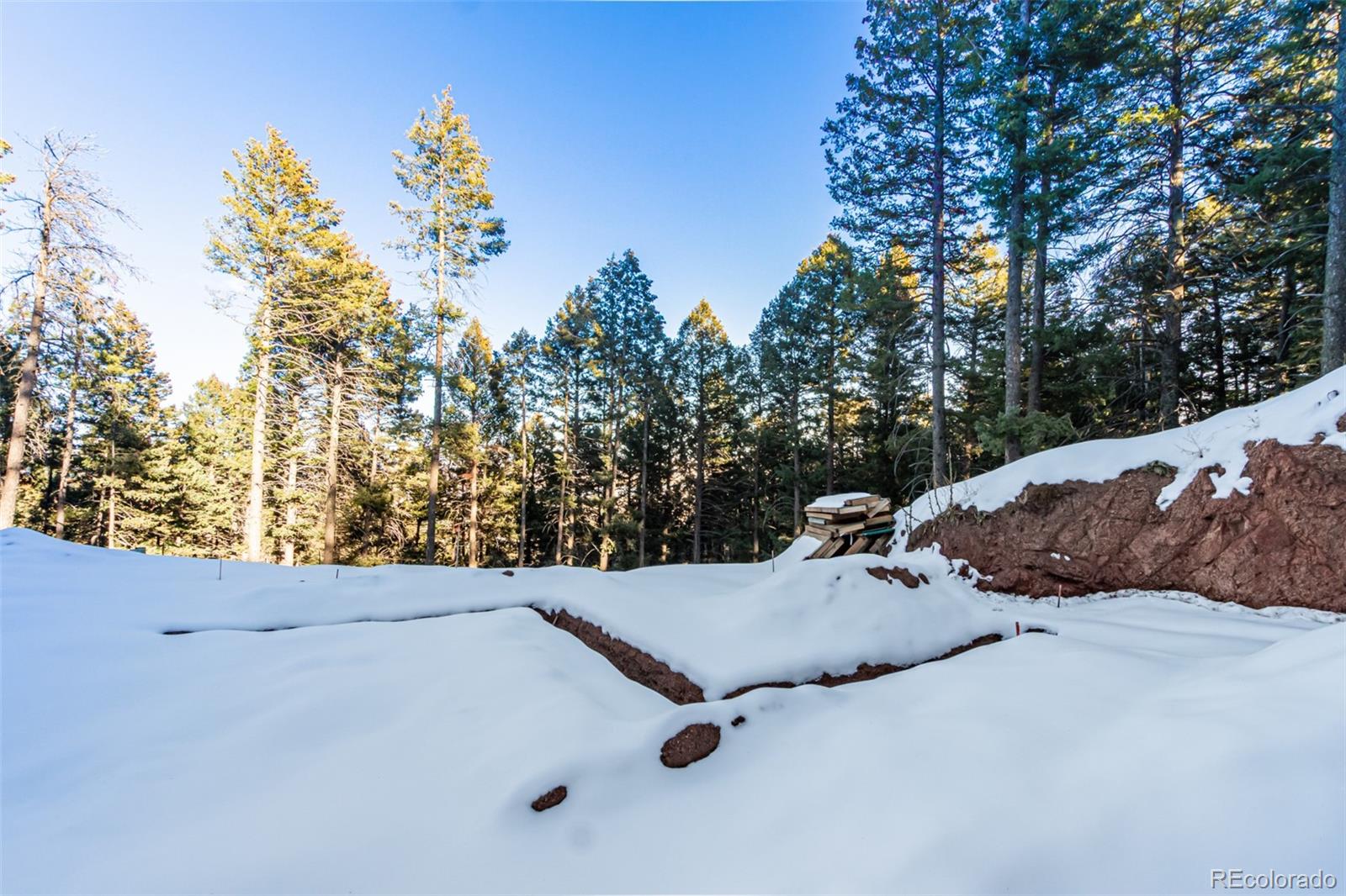 2199 Badger Drive Larkspur CO 80118