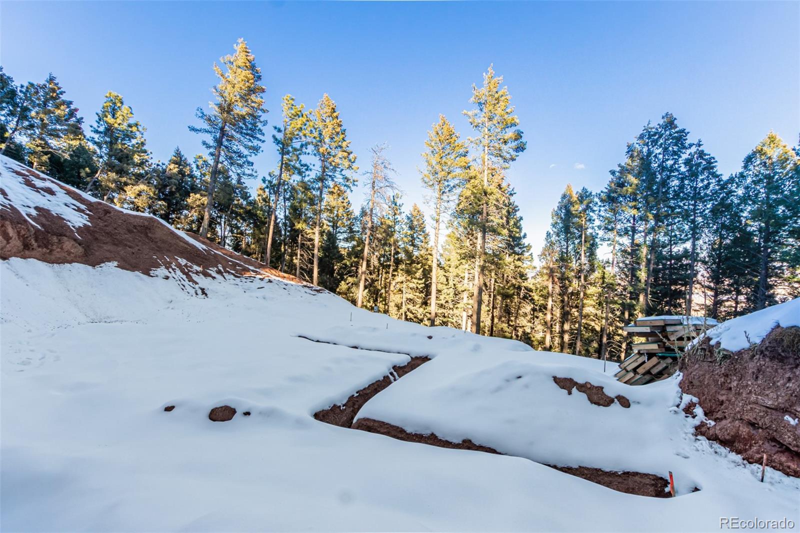 2199 Badger Drive Larkspur CO 80118