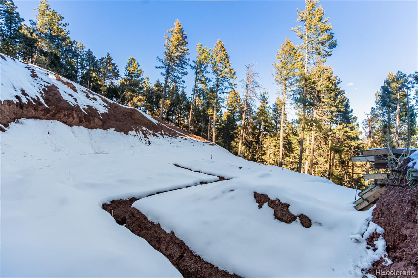 2199 Badger Drive Larkspur CO 80118
