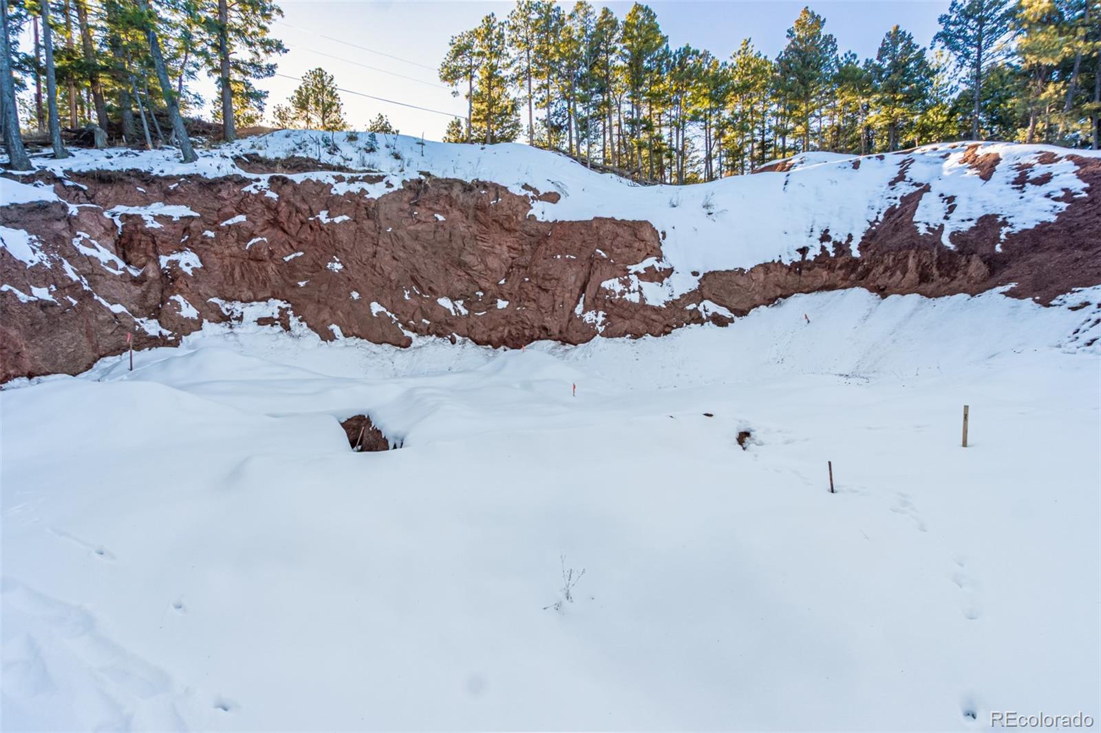 2199 Badger Drive Larkspur CO 80118