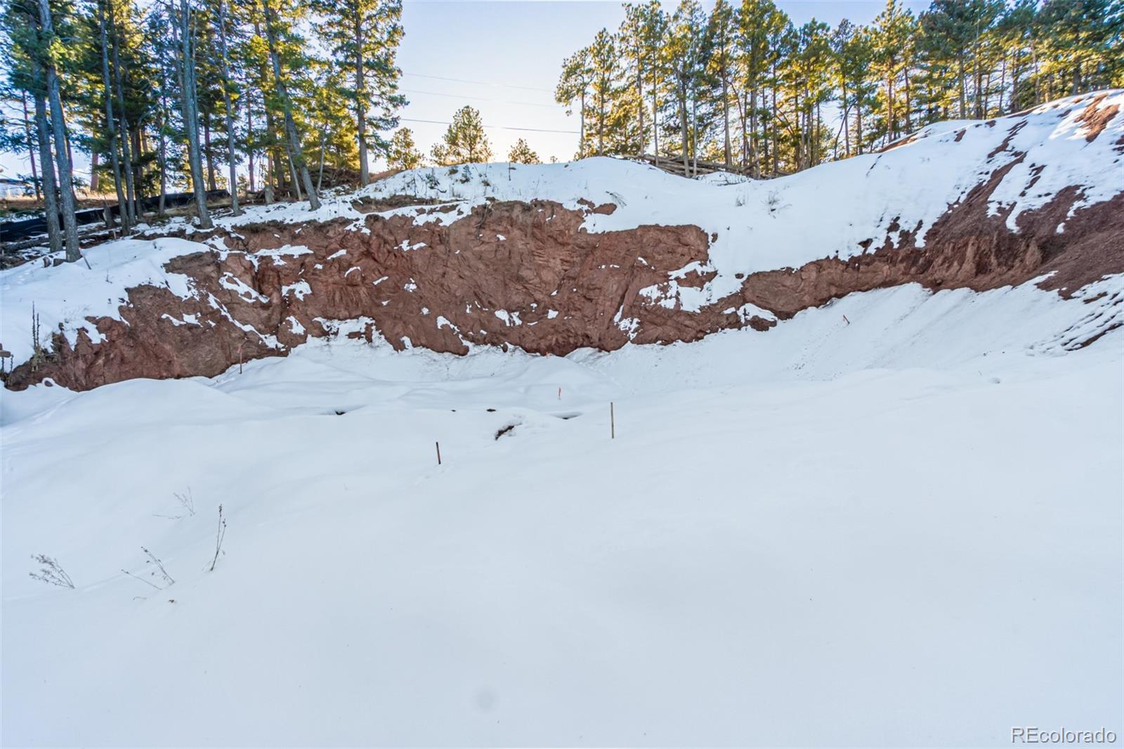 2199 Badger Drive Larkspur CO 80118