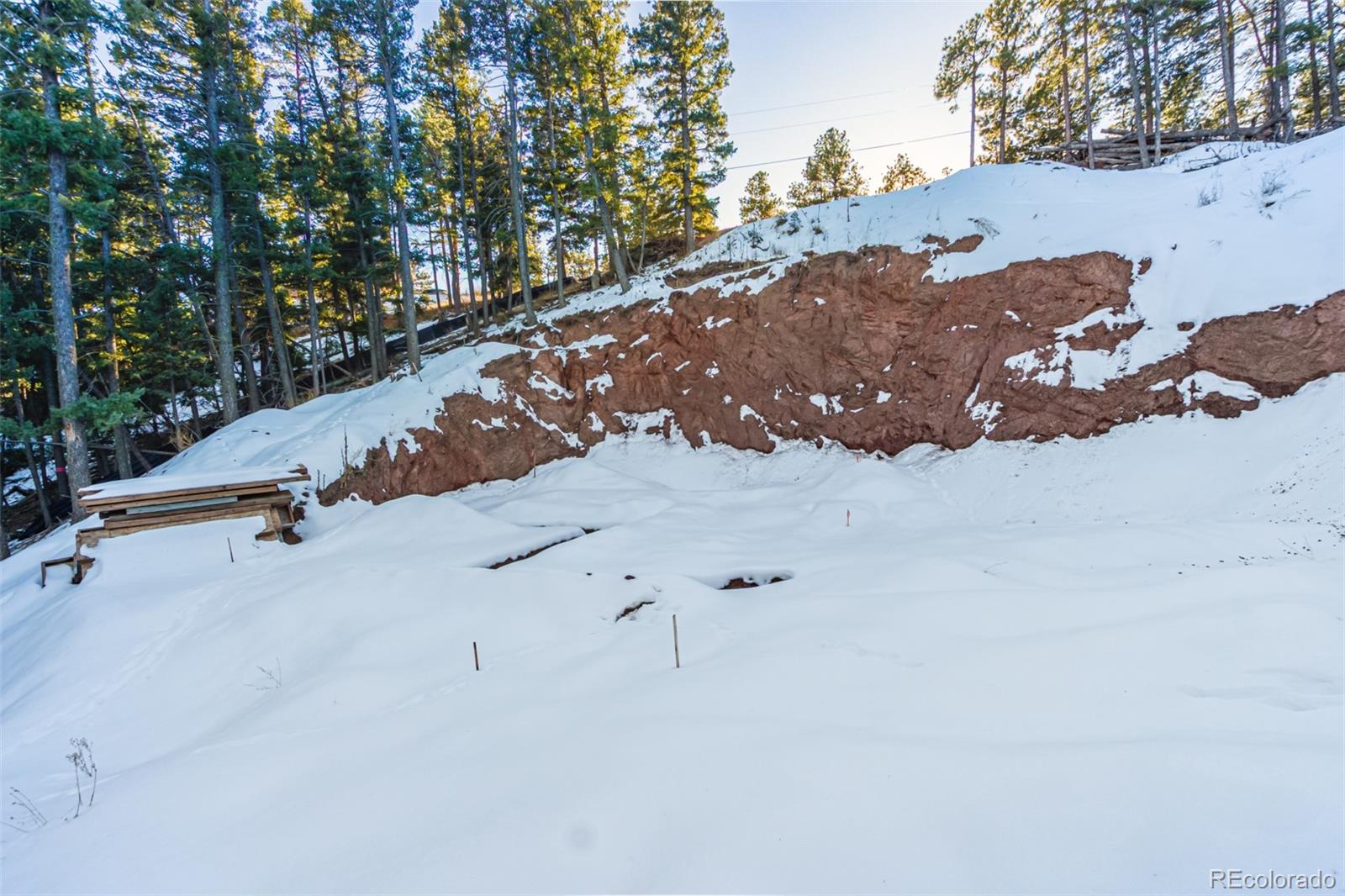 2199 Badger Drive Larkspur CO 80118