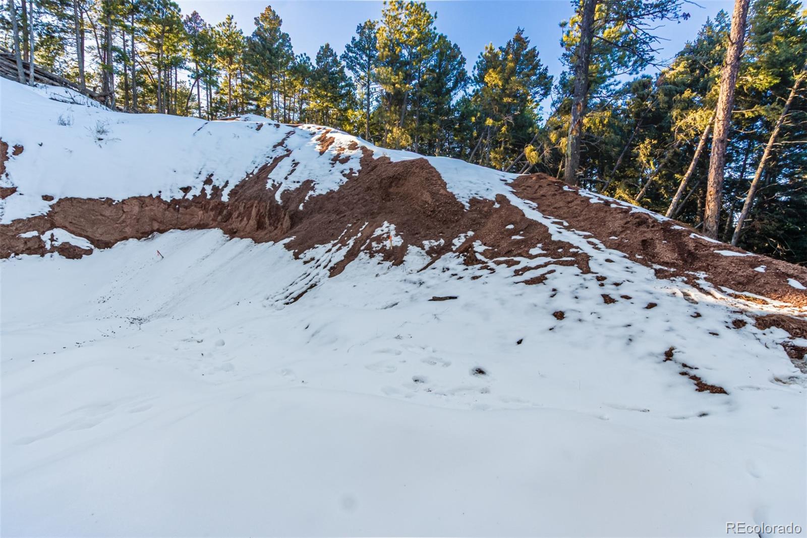 2199 Badger Drive Larkspur CO 80118