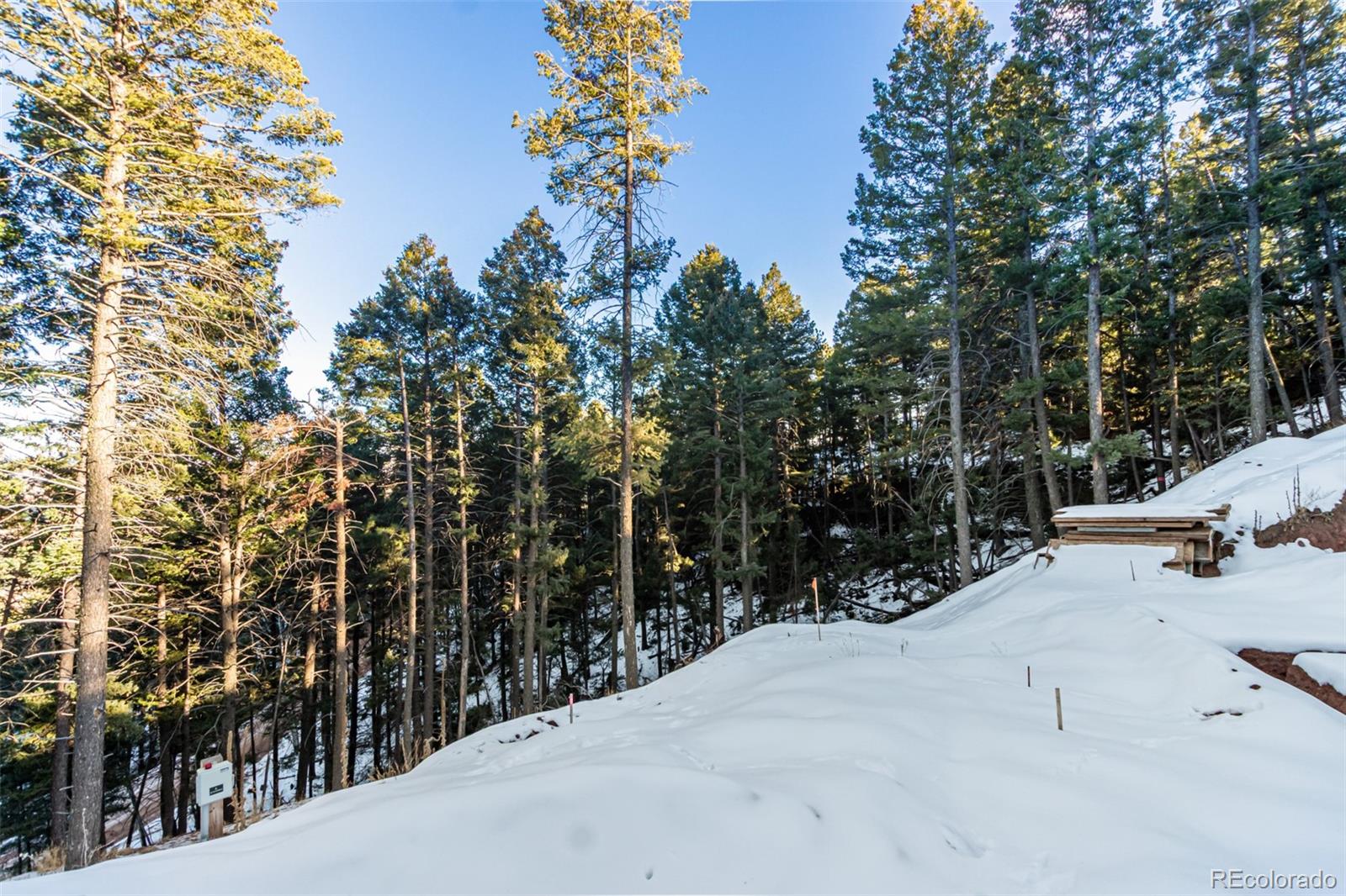 2199 Badger Drive Larkspur CO 80118