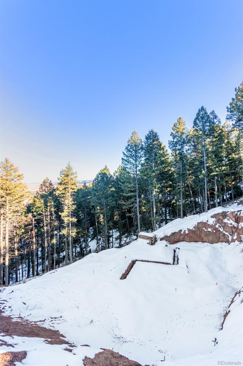 2199 Badger Drive Larkspur CO 80118