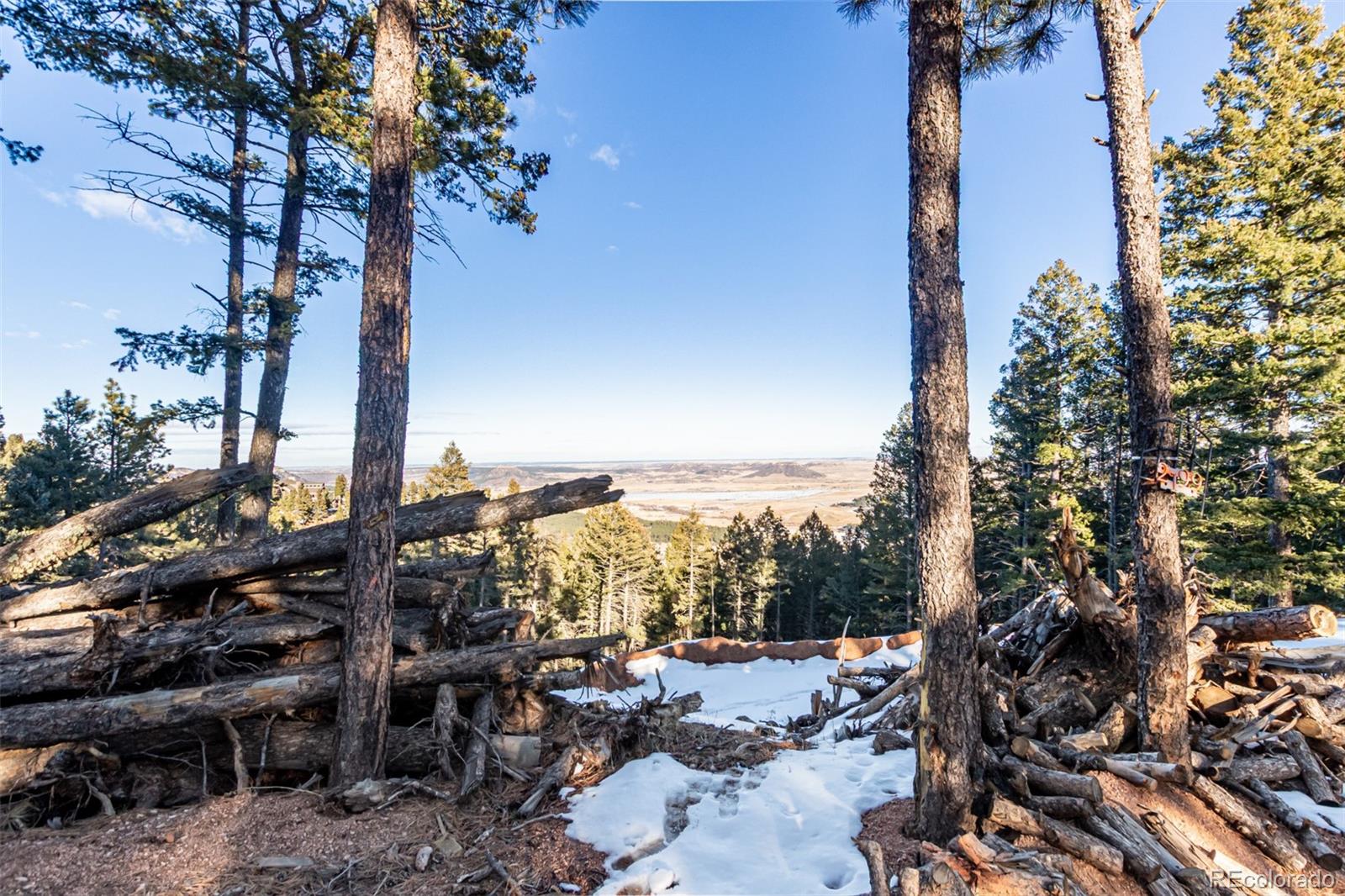 2199 Badger Drive Larkspur CO 80118