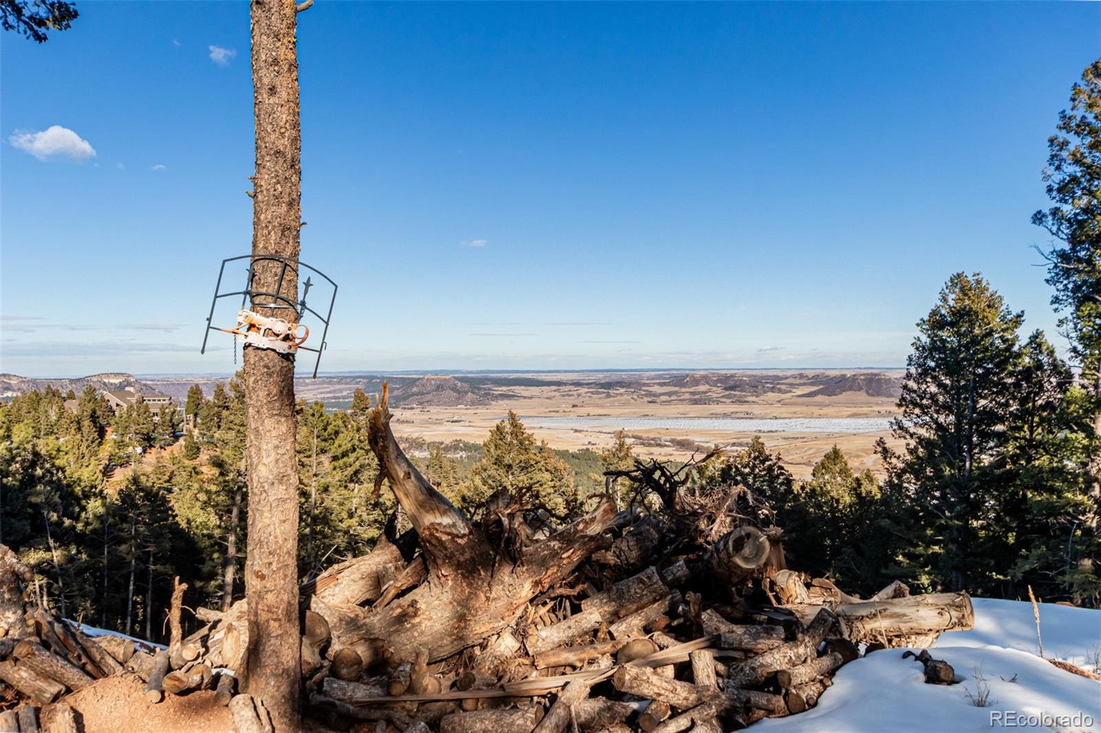 2199 Badger Drive Larkspur CO 80118
