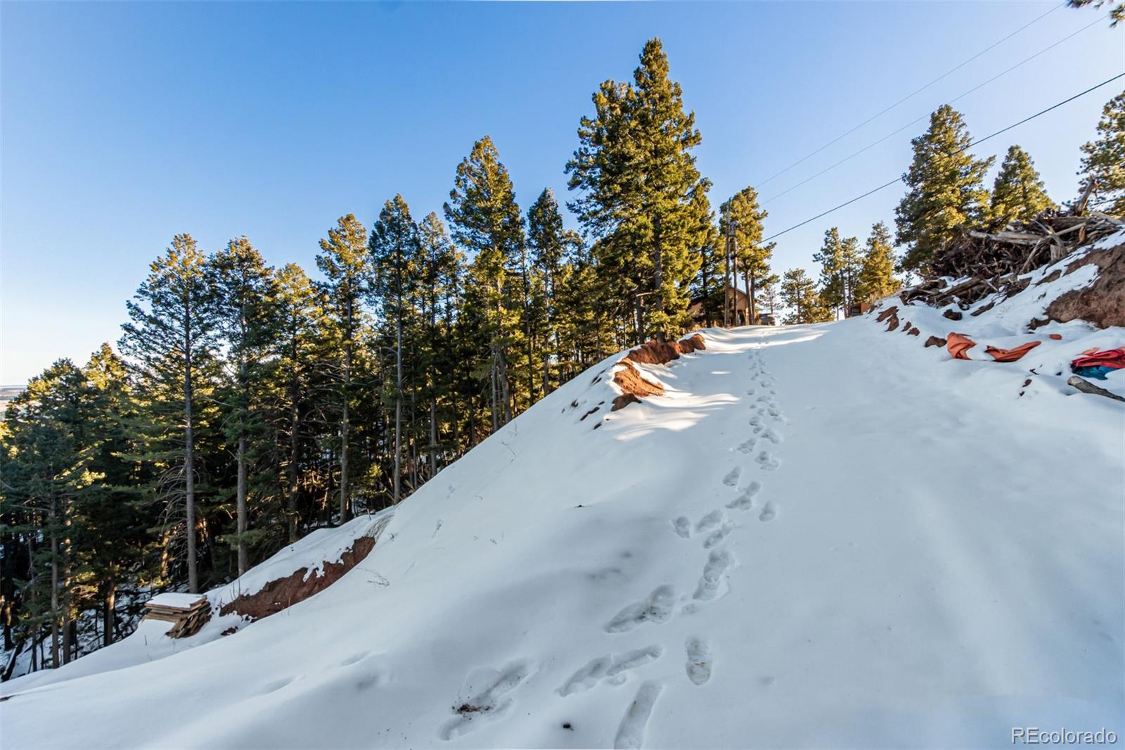 2199 Badger Drive Larkspur CO 80118