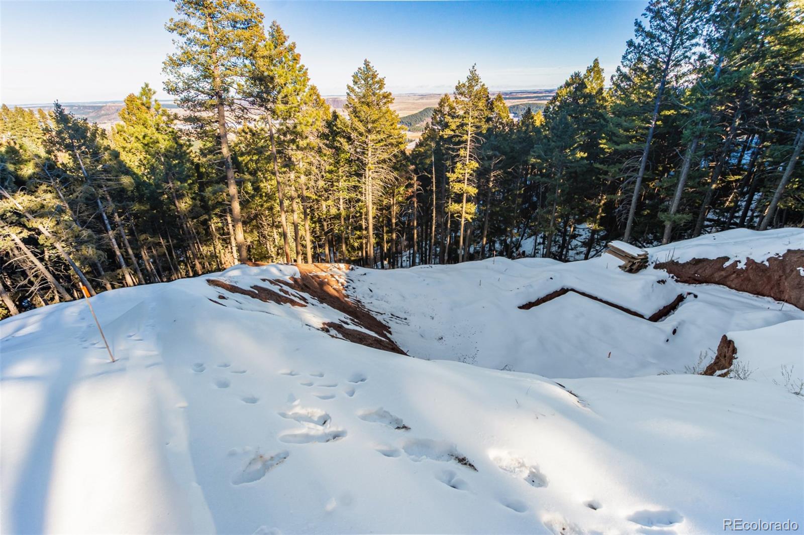 2199 Badger Drive Larkspur CO 80118
