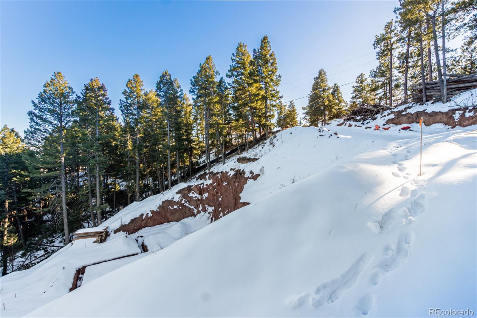 2199 Badger Drive Larkspur CO 80118