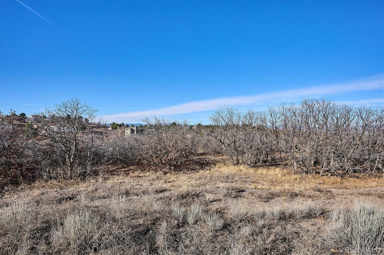 1044 N Bader Court Castle Rock CO 80104