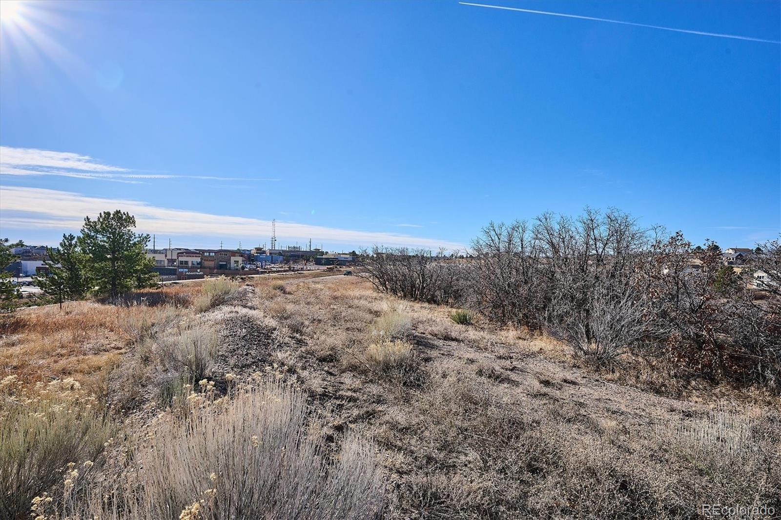 1044 N Bader Court Castle Rock CO 80104