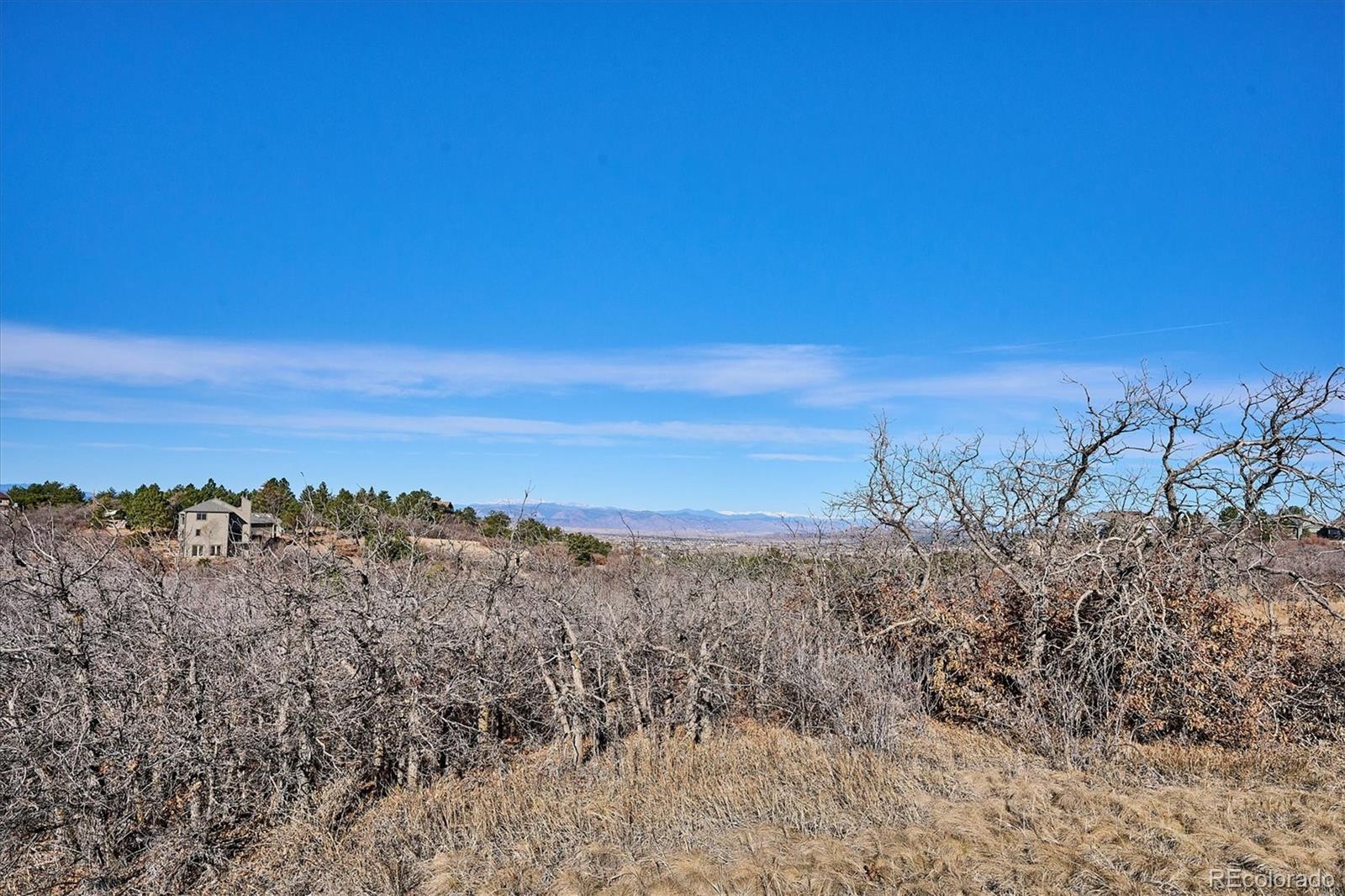 1044 N Bader Court Castle Rock CO 80104