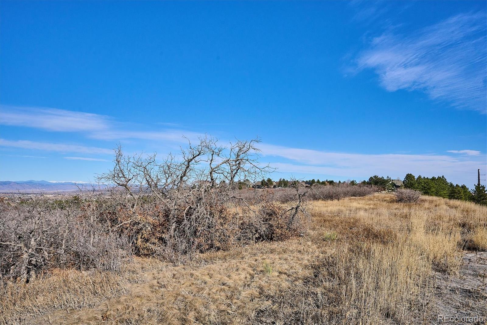 1044 N Bader Court Castle Rock CO 80104