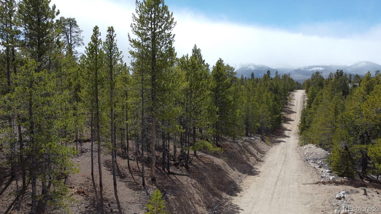 104 Spruce Drive Twin Lakes CO 81251