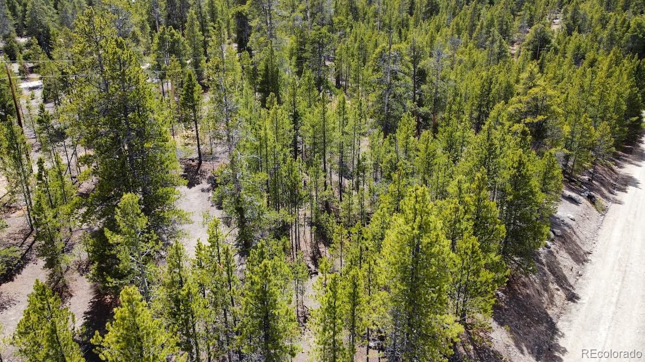104 Spruce Drive Twin Lakes CO 81251