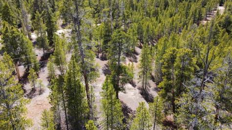 104 Spruce Drive Twin Lakes CO 81251