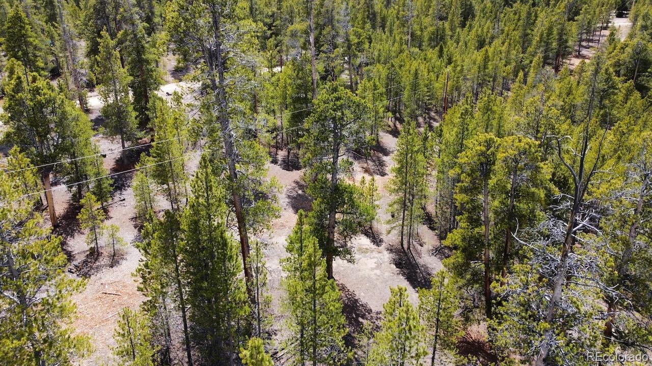 104 Spruce Drive Twin Lakes CO 81251