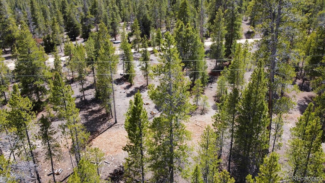 104 Spruce Drive Twin Lakes CO 81251