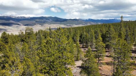 104 Spruce Drive Twin Lakes CO 81251