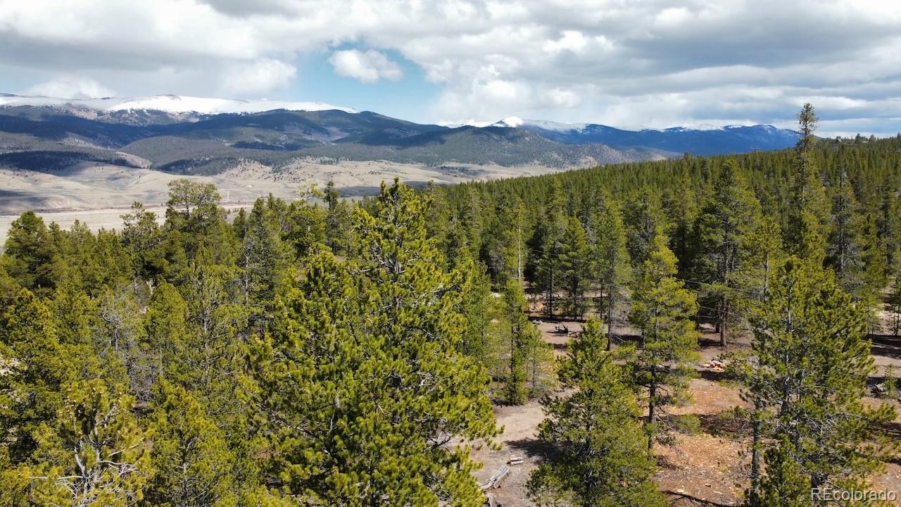 104 Spruce Drive Twin Lakes CO 81251