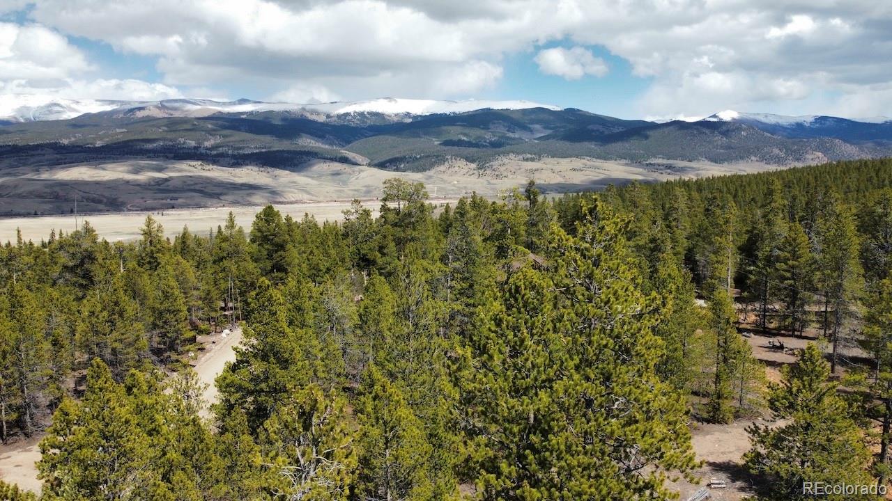 104 Spruce Drive Twin Lakes CO 81251