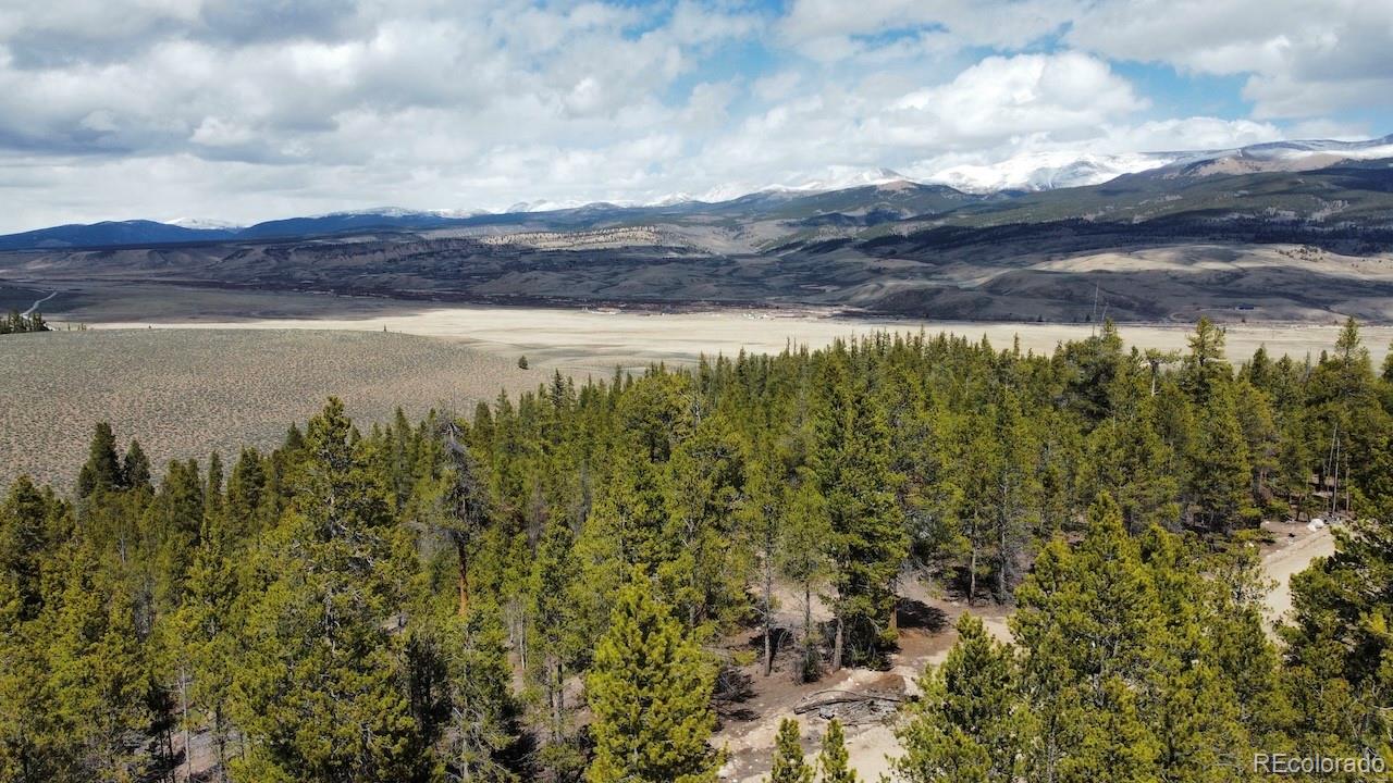 104 Spruce Drive Twin Lakes CO 81251