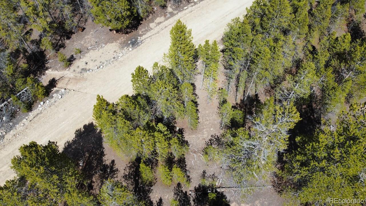 104 Spruce Drive Twin Lakes CO 81251
