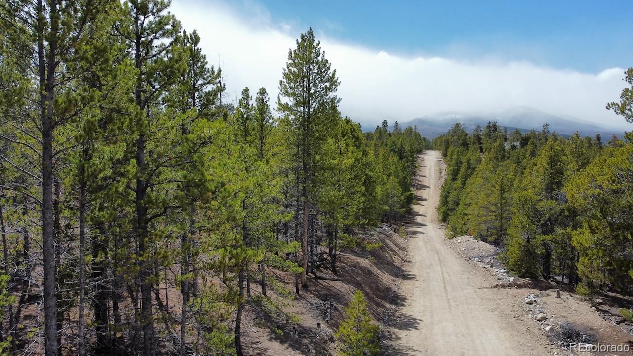 104 Spruce Drive Twin Lakes CO 81251