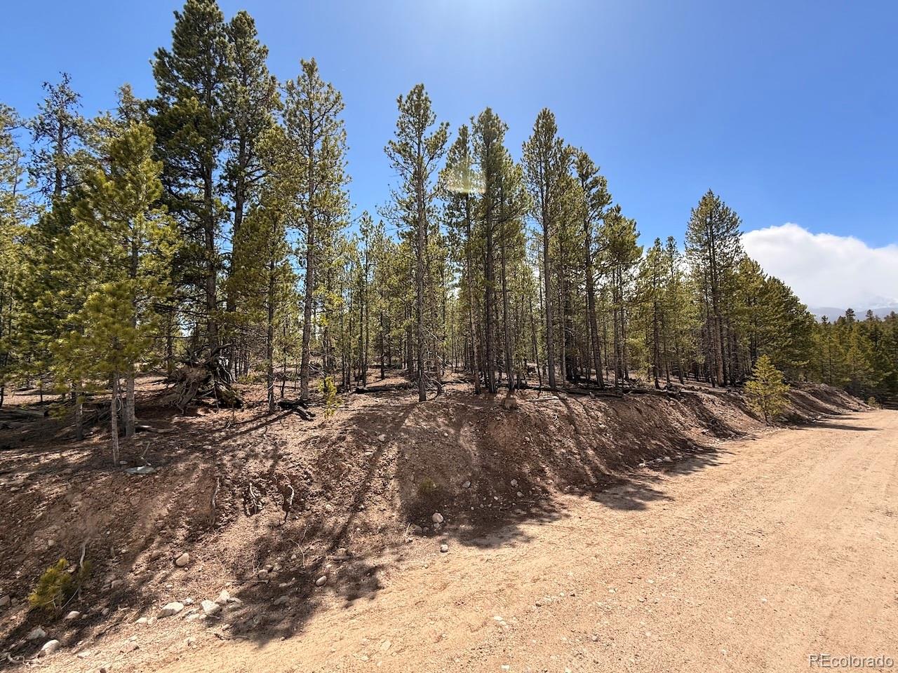 104 Spruce Drive Twin Lakes CO 81251