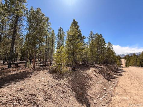 104 Spruce Drive Twin Lakes CO 81251