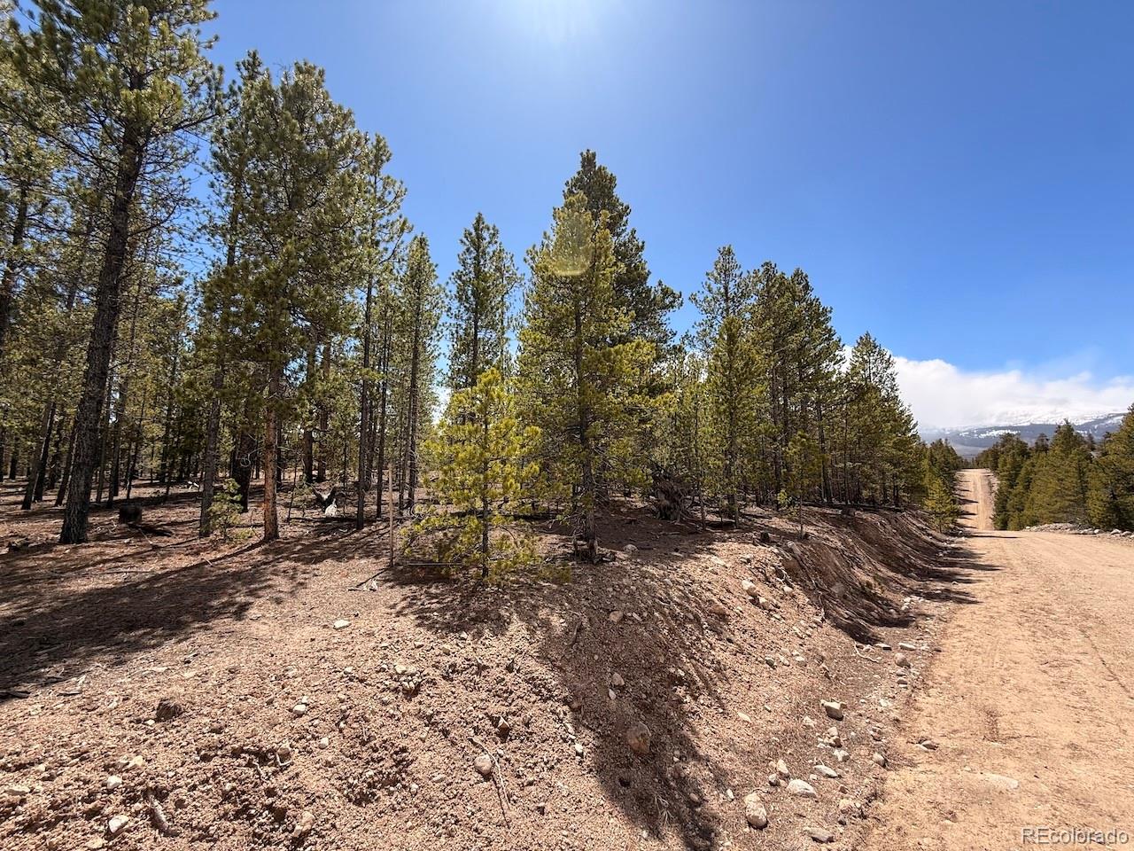 104 Spruce Drive Twin Lakes CO 81251