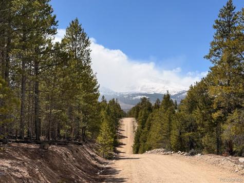 104 Spruce Drive Twin Lakes CO 81251